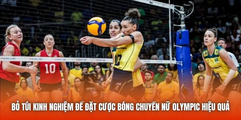 Bỏ túi kinh nghiệm để đặt cược bóng chuyền nữ Olympic hiệu quả