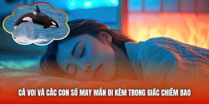 Cá voi và các con số may mắn đi kèm trong giấc chiêm bao