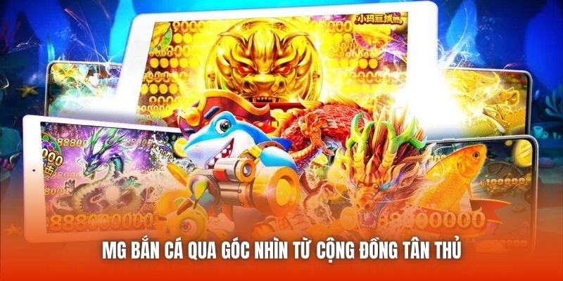 MG bắn cá qua góc nhìn từ cộng đồng tân thủ