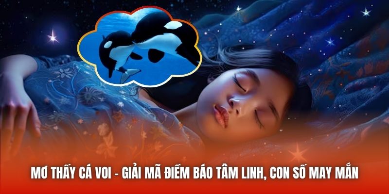 Mơ Thấy Cá Voi - Giải Mã Điềm Báo Tâm Linh, Con Số May Mắn